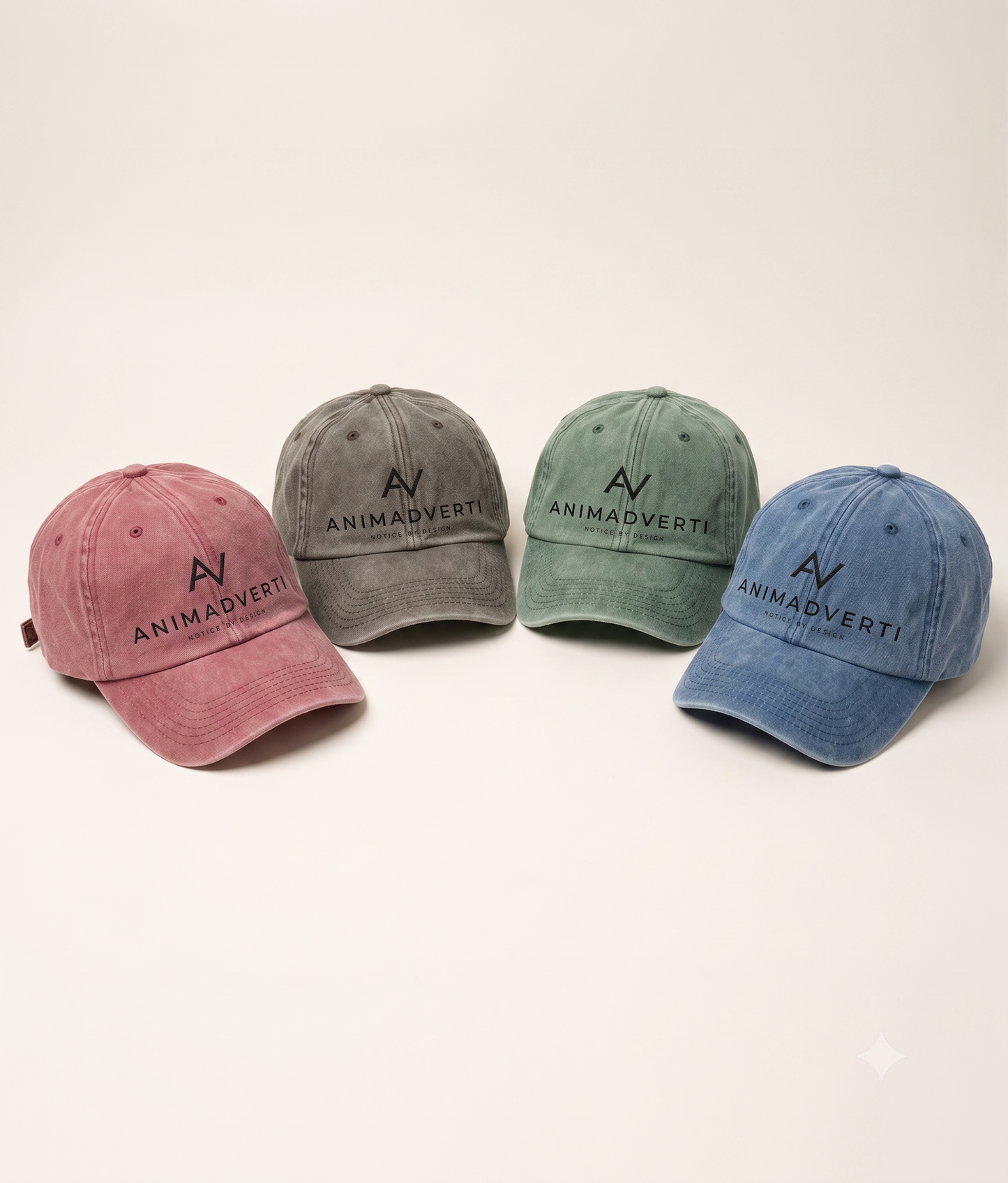 Animadverti The Everyday Cap