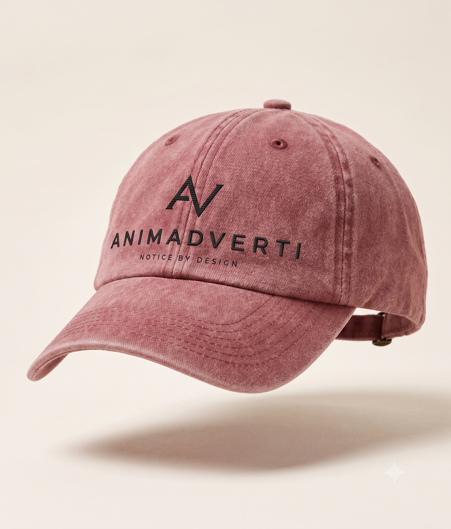 Animadverti The Everyday Cap